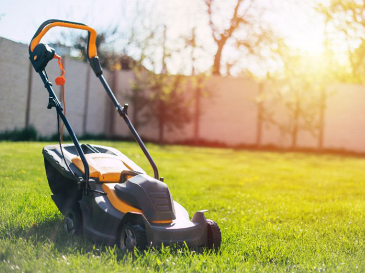NDIS home maintenance support